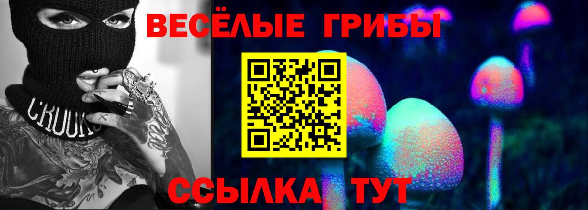 Тверь  Псилоцибиновые грибы MAGIC MUSHROOMS  Вход с VPN 