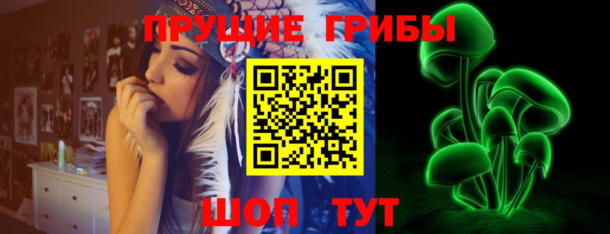 Галлюциногенные грибы Cubensis Тверь